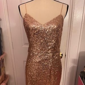 Rose Gold Backless Long Dress